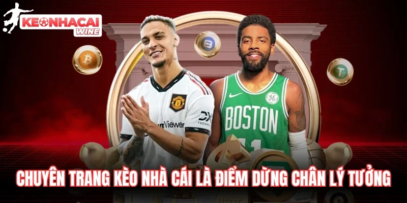 alphacup.io là chuyên trang cung cấp tỷ lệ kèo uy tín alphacup.io là chuyên trang cung cấp tỷ lệ kèo uy tín